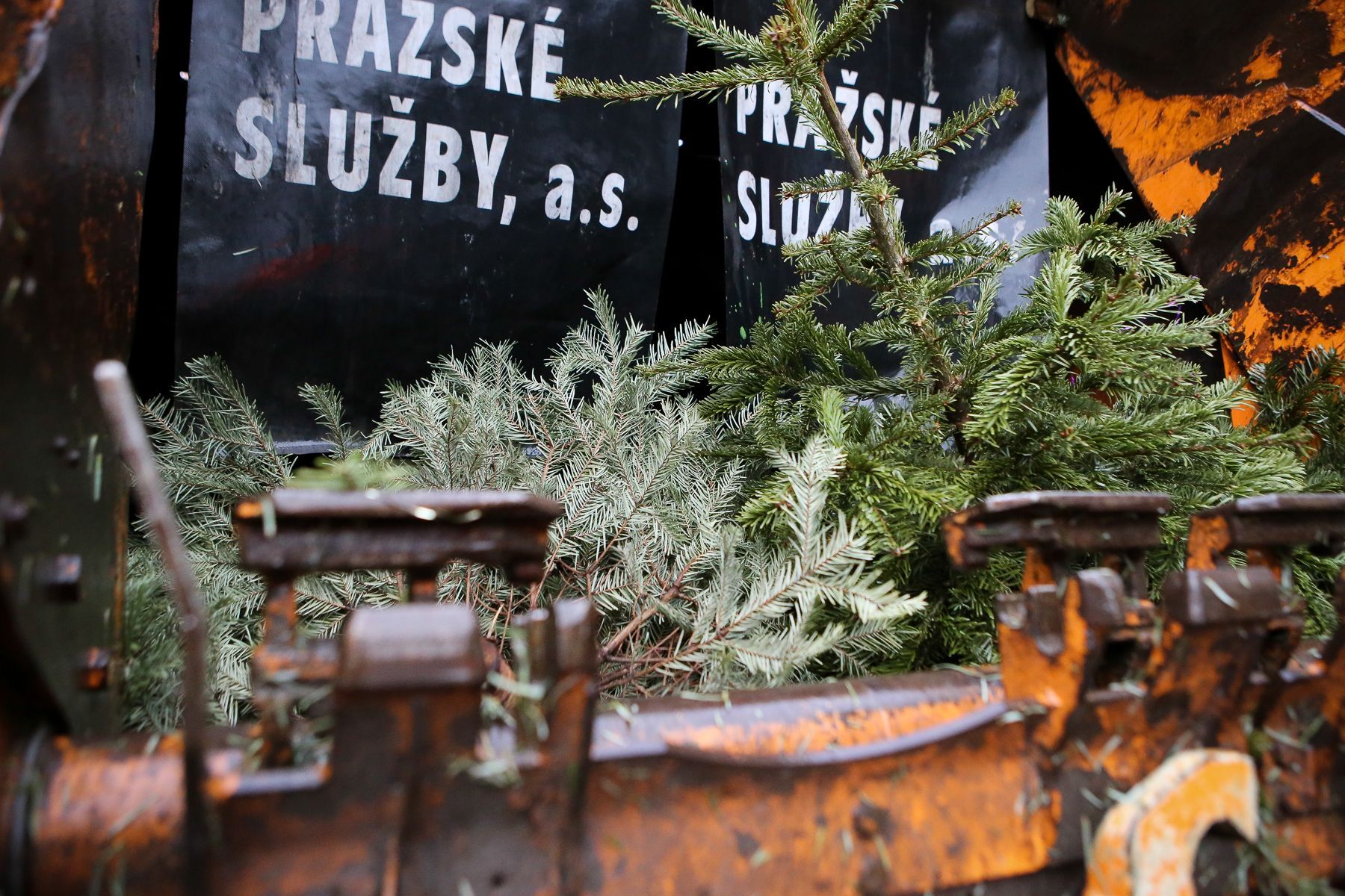 Svoz vánočních stromků Praha