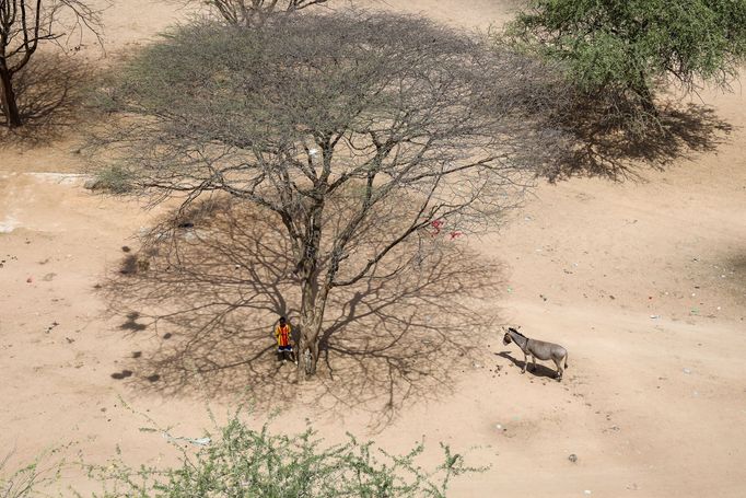 Snímek z Keňské republiky v Africe, která byla pořízena v oblasti města Dadaab v roce 2022, kde je i velký uprchlický tábor pro lidi, kteří byli postižení hladomorem.