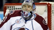 Alespoň na 18 minut si letos vyzkoušel Roman Will (Colorado Avalanche) slavnou NHL. Odchovanec Mladé Boleslavi dostal šanci při personální krizi v Coloradu, kvůli které se do výstroje oblékl na pár tréninků i Patrick Roy. V té jedné třetině Will obdržel jeden gól ze tří střel. A pak se zase odebral na farmu v San Antoniu.