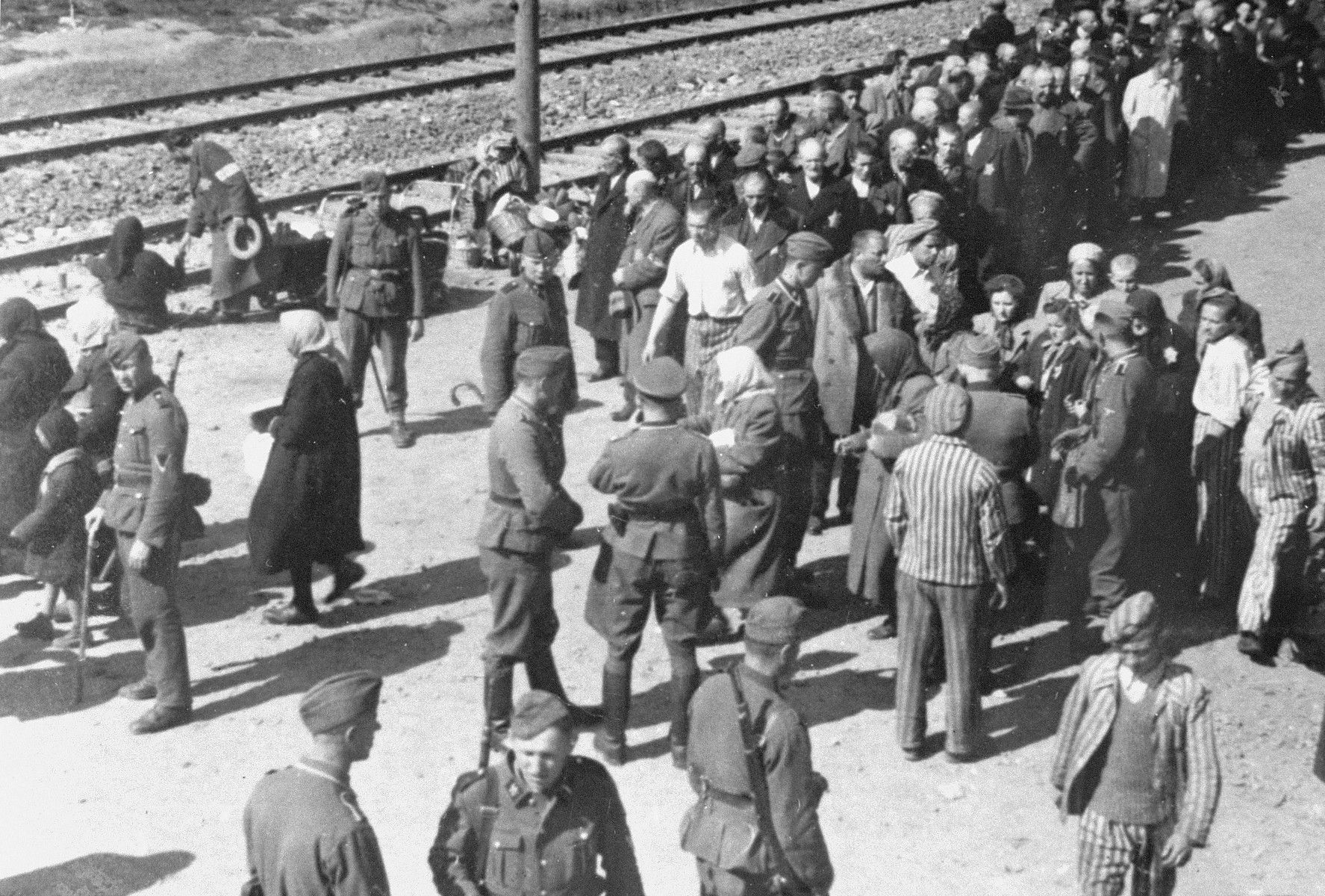 Jednorázové použití / Fotogalerie / Uběhlo 80 let od osvobození koncentračního tábora smrti v Osvětimi / TV