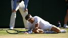 Wimbledon 2017: David Ferrer