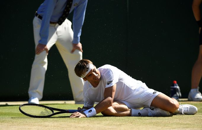 Wimbledon 2017: David Ferrer