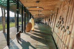 Povalové konstrukce jsou mimořádně levné a hezké, přiznal architekt Čertova břemene