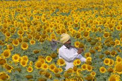 Obrazem: Pestré tváře miliardové Indie