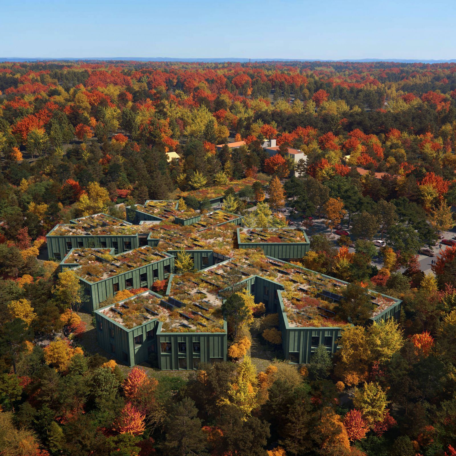 lesy v lese, Hradec Králové, stavba, architektura, Nová centrála Lesů České republiky