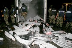 Mexičtí vojáci našli tunu kokainu ve zmrzlých žralocích