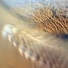 Fotogalerie / Fascinující pohledy na povrch Marsu / NASA / 20
