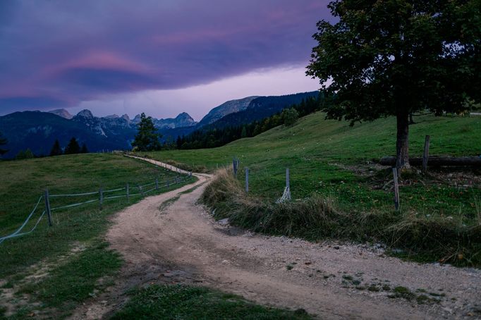 TOP Foto 2023: Rok očima fotografa Richarda Horáka