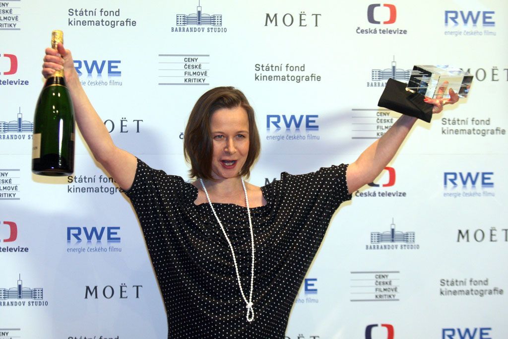 Ceny filmové kritiky