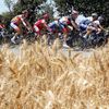 Tour de France: peloton