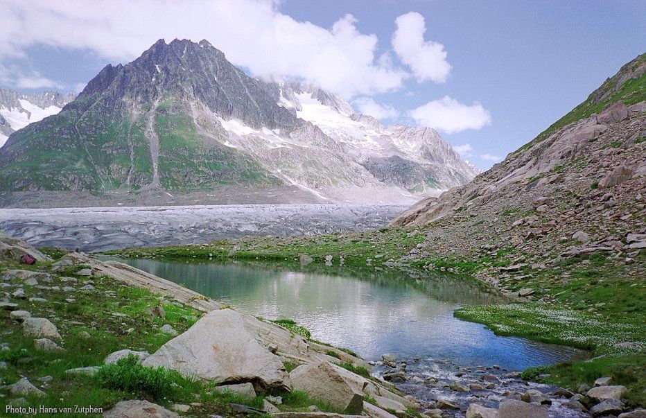 Ledovec Aletschgletscher