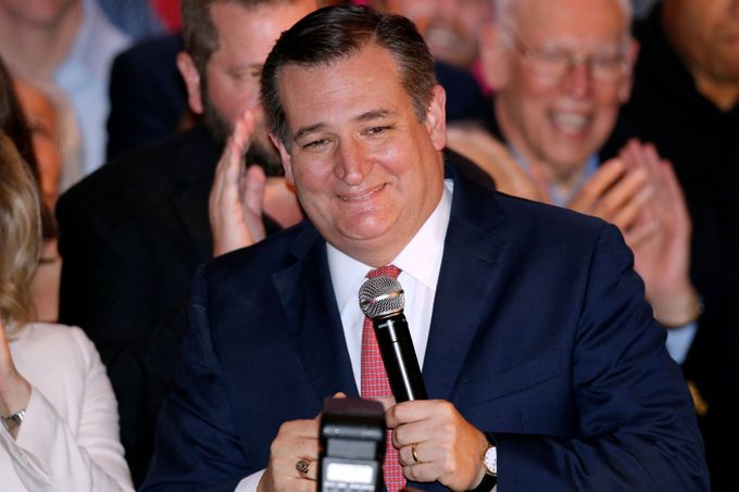 Texaský senátor Ted Cruz, který ve volbách uhájil křeslo senátora - americké volby listopad 2018