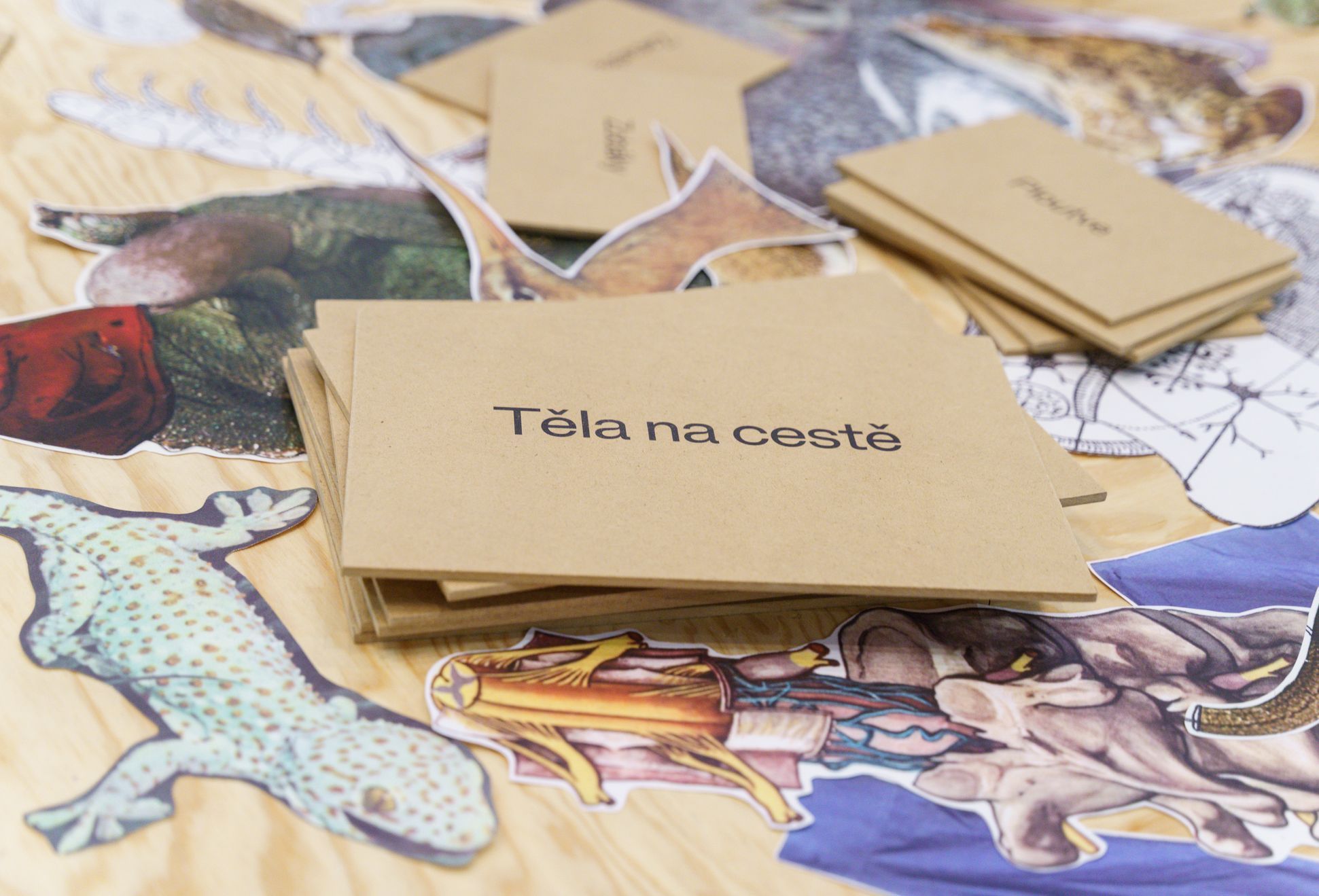 Eva Koťátková, Národní galerie, 2022 - Aktuálně.cz