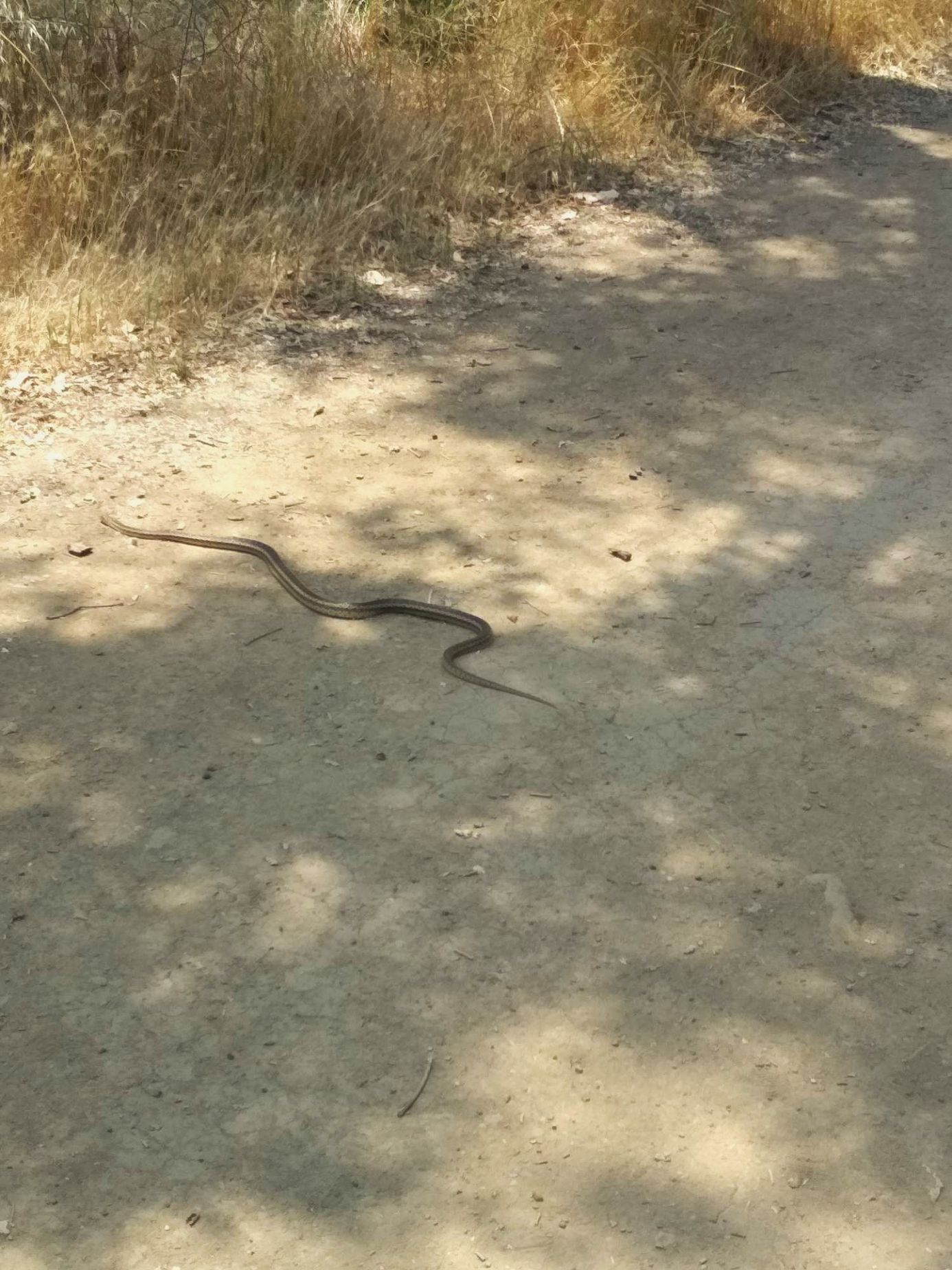 Galerie natáčecí místo MASH