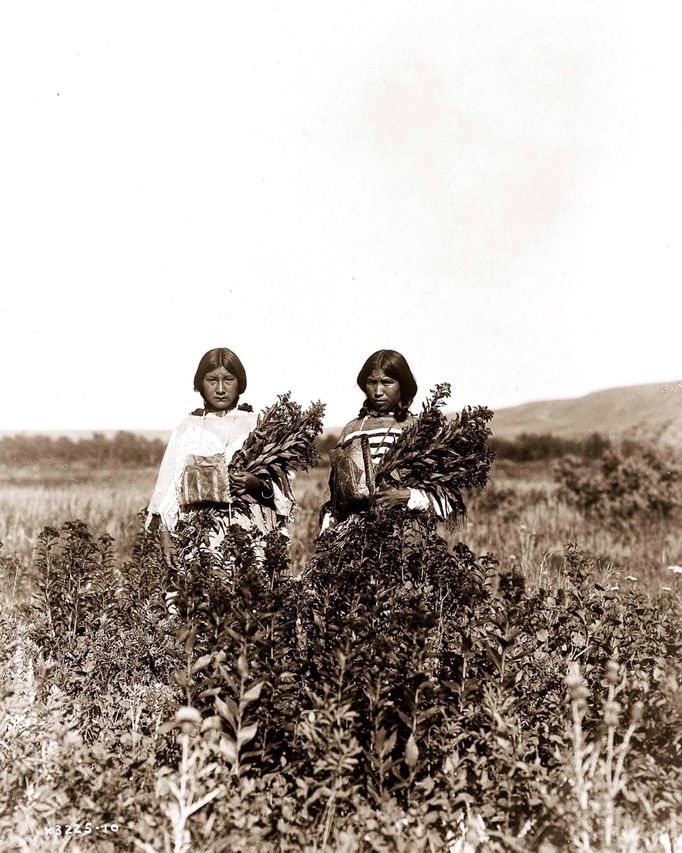 Podívejte se na unikátní magické kouzlo starých fotografií amerických indiánů jak je zachytil okolo roku 1900 fotograf Edward Sheriff Curtis.