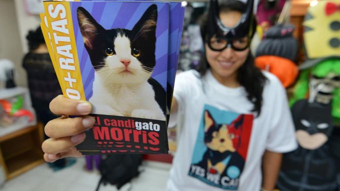Žena drží fotografie kocoura Morrise, kandidáta na starostu. V obchodu v mexickém městě Xalapa si lze koupit nejrůznější propagační předměty s Morrisem.
