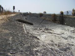 Spáleniště na severu Izraele, způsobené raketami Hizballáhu. Ekologickou katastrofu pro Středomoří přinesla i loňská izraelsko-libanonská válka.