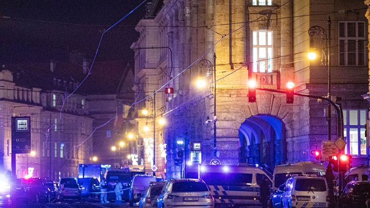 Zaveďme detailní psychotesty pro držitele zbraní, požadují tři čtvrtiny Čechů