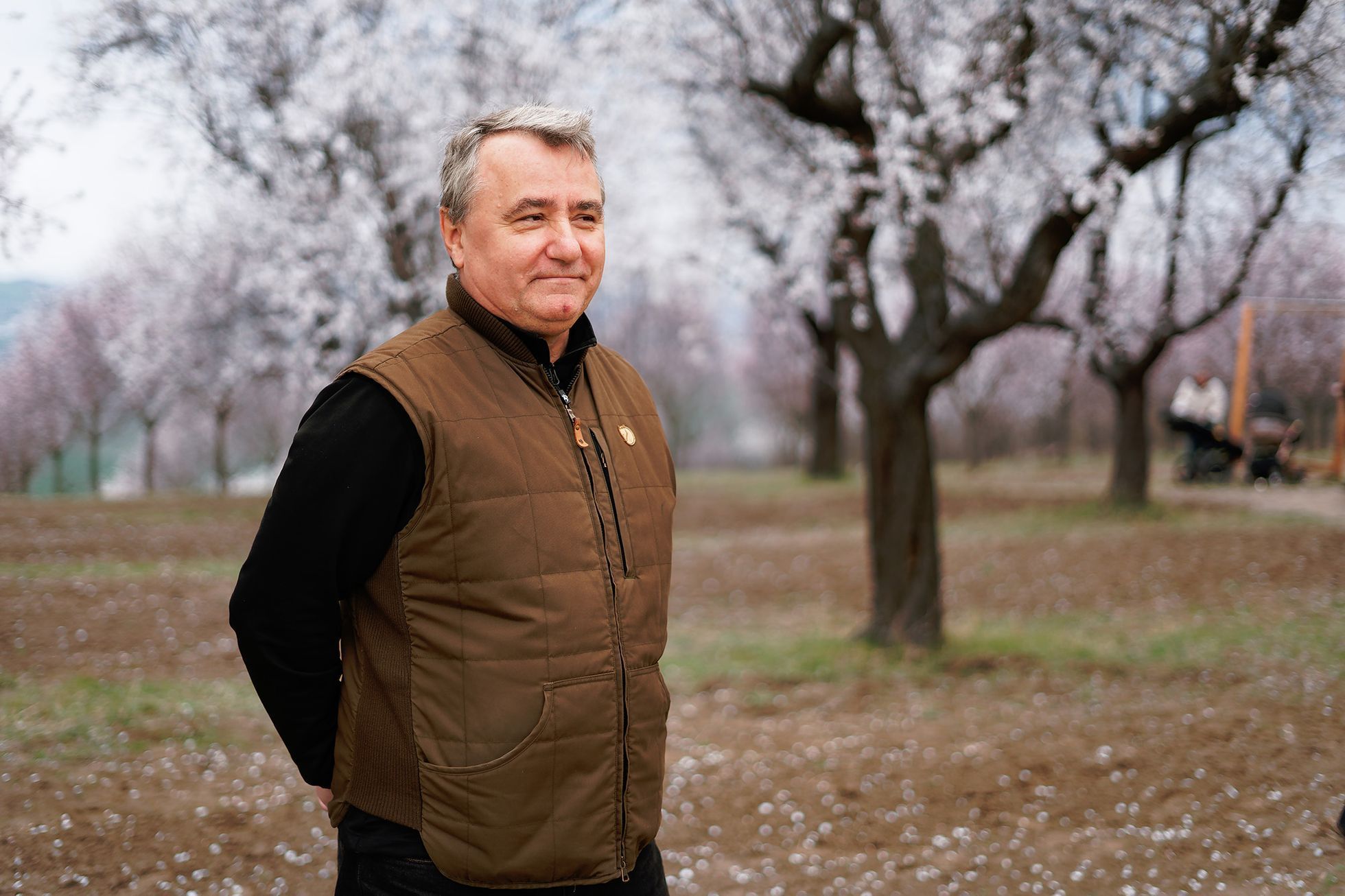 Mandloňové sady v Hustopečích v plném květu, březen 2024