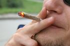 Czechs smoke marijuana as Europe falls for cocaine
