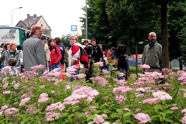 Liberec v rekonstrukci