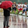 Atletka, Memoriál Josefa Odložila 2013: 800 m, béčkový běh