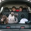 Nissan X-Trail 4 Dogs