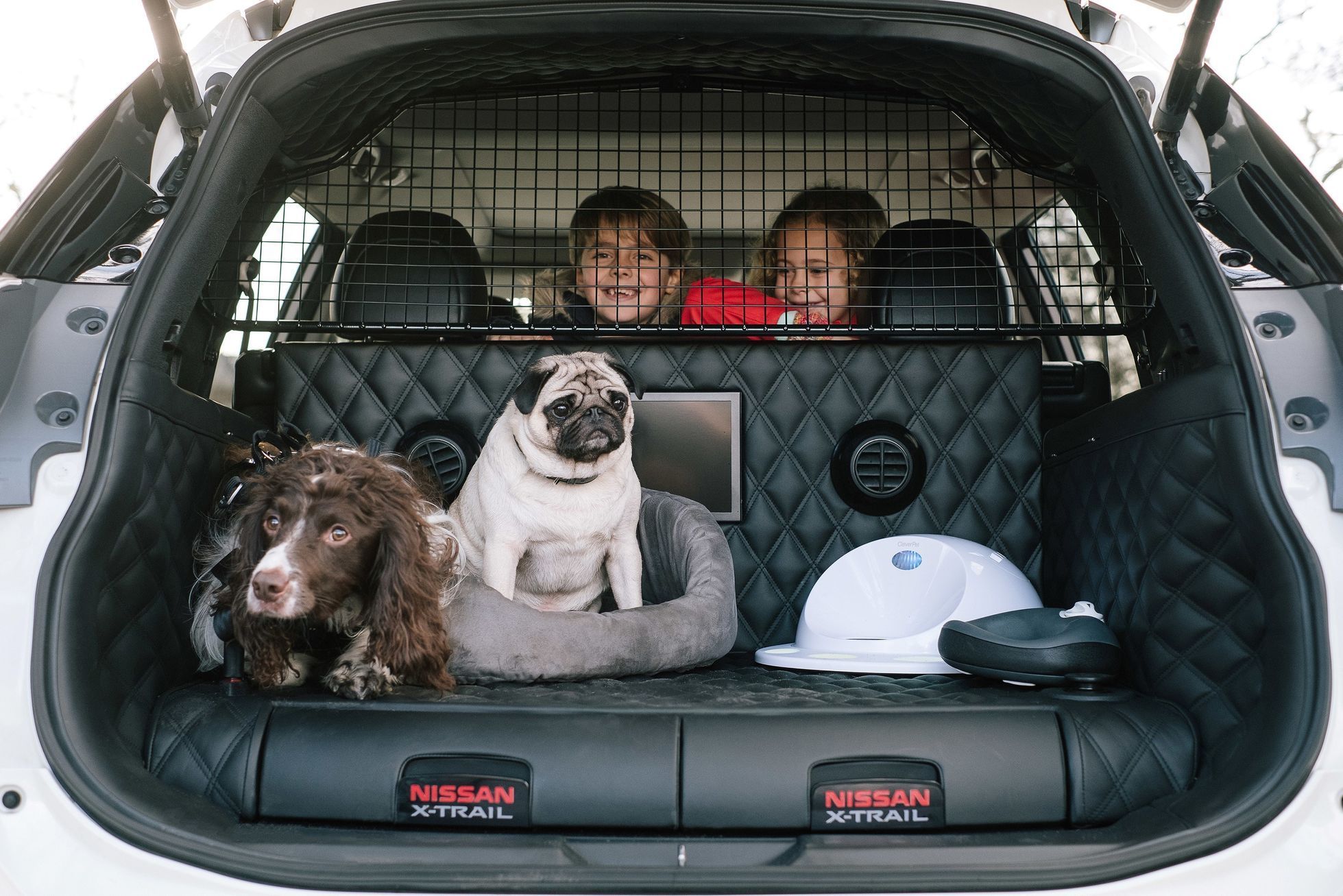 Nissan X-Trail 4 Dogs