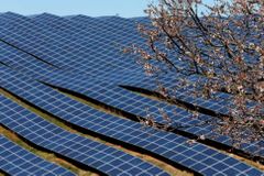 Proti licencím na fotovoltaiku zatím uspěla jediná žaloba