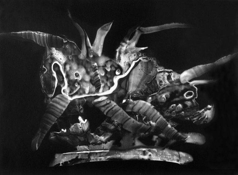 Výstava: Vilém Reichmann. Každá věc je počátkem básně, Vilém Reichmann, fotograf, výstava, Brno, Foto, Magazín