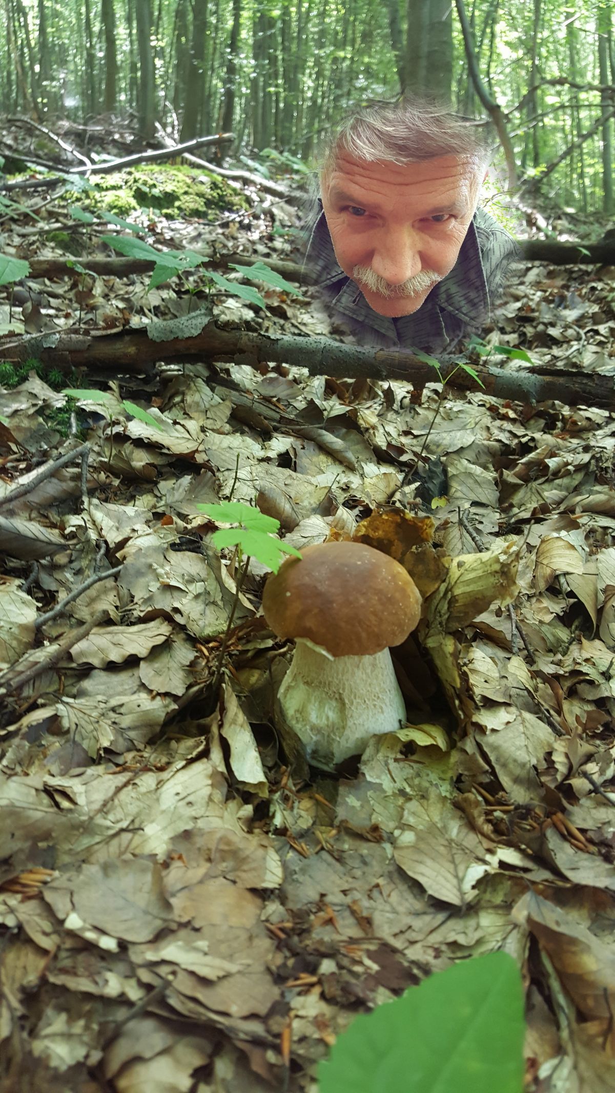 NEPOUŽÍVAT !!! Fotosoutěž houby 2017