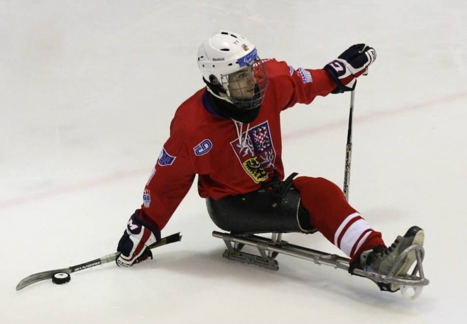 Česká sledge hokejová reprezentace: David Palát