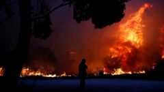 Fotogalerie / Letní vedra v Evropě / Zahraničí / Horko / Léto / Sucho / Požáry / Oheň / Počasí / Reuters / 31