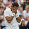 Wimbledon 2016: Juan Martin Del Potro