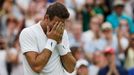 Wimbledon 2016: Juan Martin Del Potro