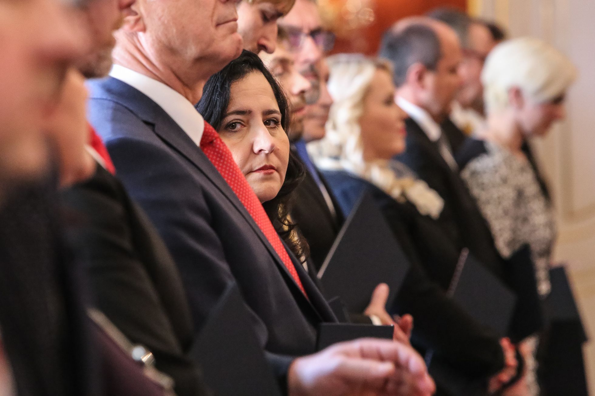 Jmenování vlády Andreje Babiše, Hrad, Miloš Zeman