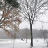 První sníh v Česku