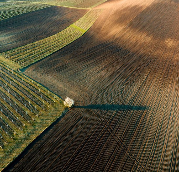 Moravské Slovácko, jižní Morava, fotografie z dronu, fotograf Radek Severa