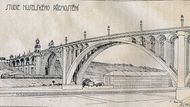 Plány na přemostění hlubokého údolí Botiče v Praze vznikaly již na počátku 20. století. Návrh profesora Bechyně z roku 1919 počítal s vytvořením betonového obloukového mostu o délce 520 metrů, který byl podepřen 11 oblouky.