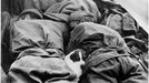 RUSSIAN SOLDIER AND DOG Soviet soldiers are befriended by a stray dog. Date: 1942 Source: Photograph by Geordy Linskerov MELEDIN COLLECTION