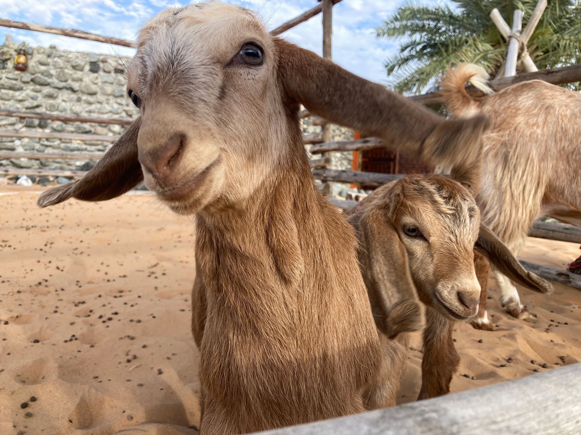 Stará a nová Dubaj