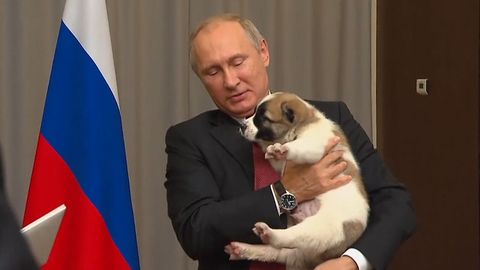 Putin dostal od turkmenského prezidenta psa. Jmenuje se Věrný