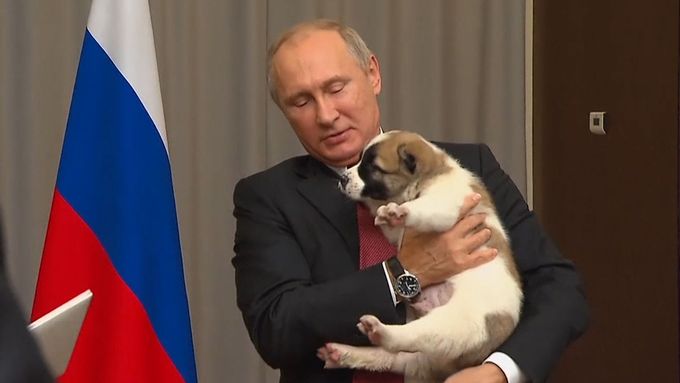 Putin dostává nové štěně jménem Věrný.