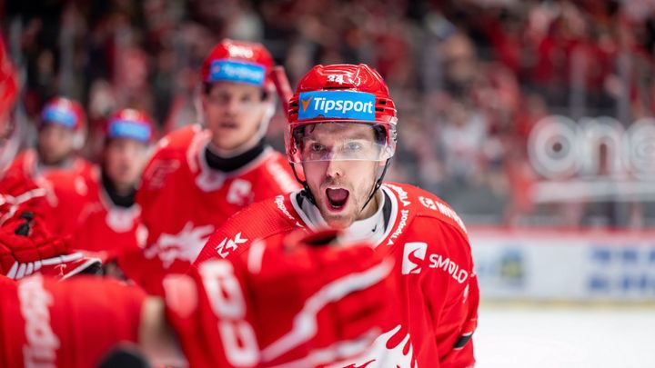 Kovařčík: Rozhodl sporný faul, Sparta to tam měla napsané. Série mohla být i opačně; Zdroj foto: Lukáš Filipec / HC Oceláři Třinec