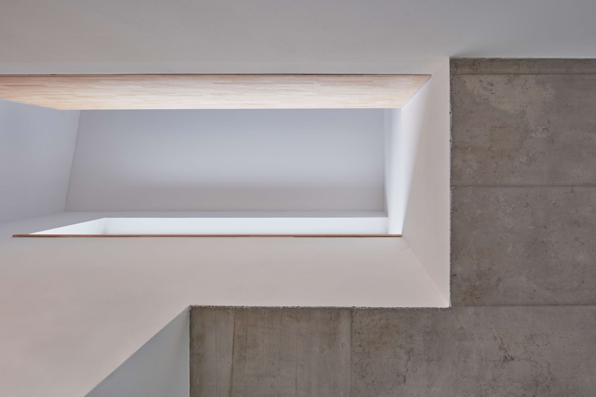 Dům v Tlustovousech