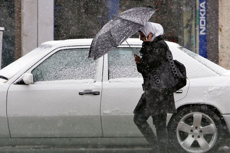 Sníh je všude: Na pláži, na růžích, zasypal i Einsteina