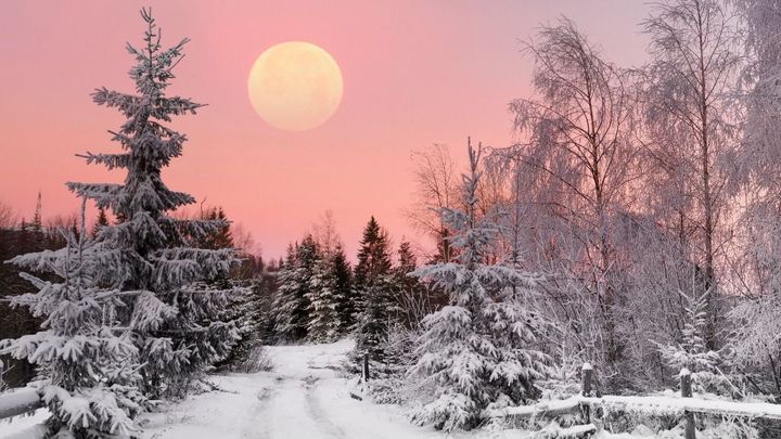 Letošní leden byl nejteplejší od roku 1981 v Evropě i na světě, tvrdí meteorologové