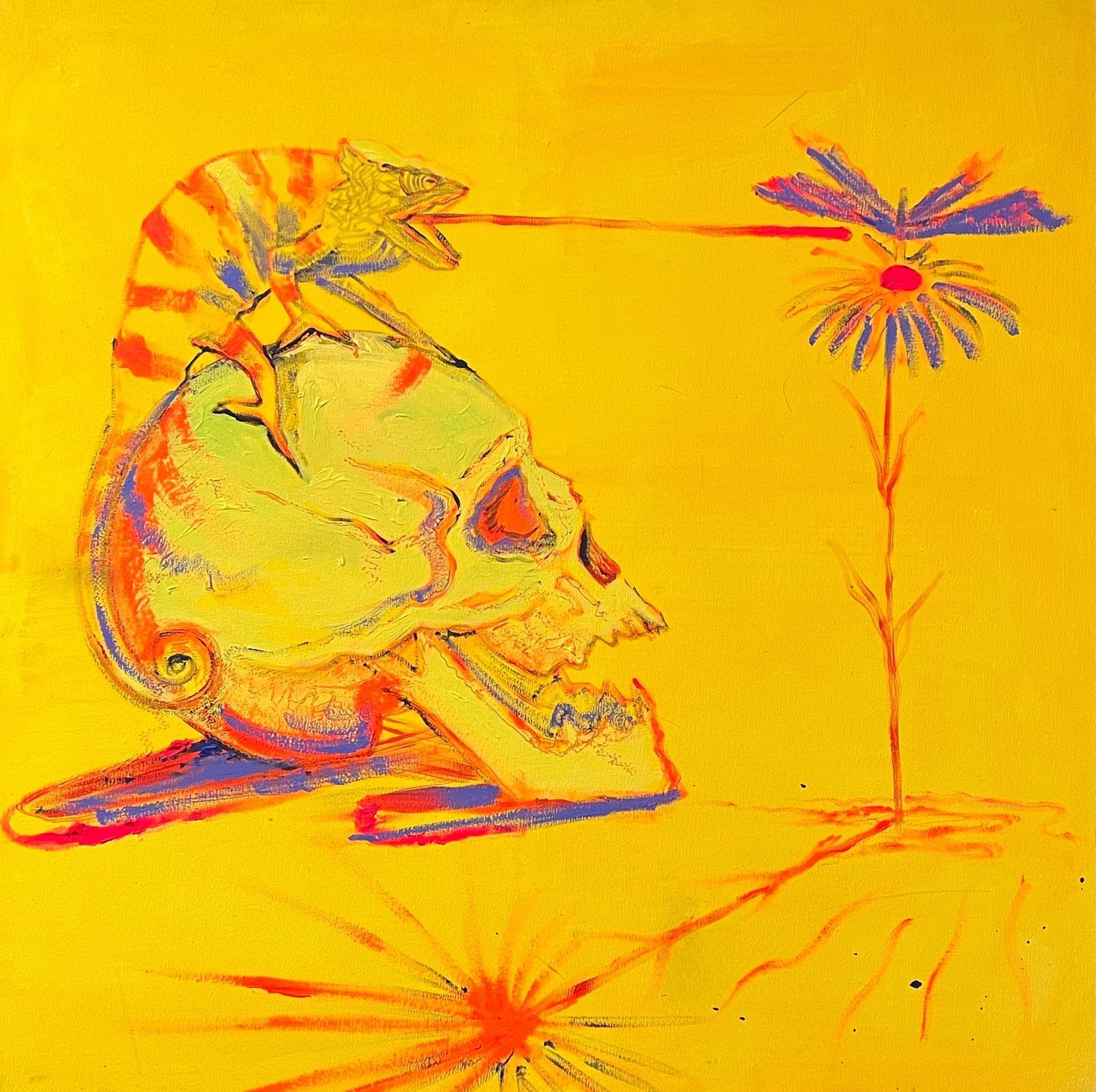 Martin Salajka: Mimikry