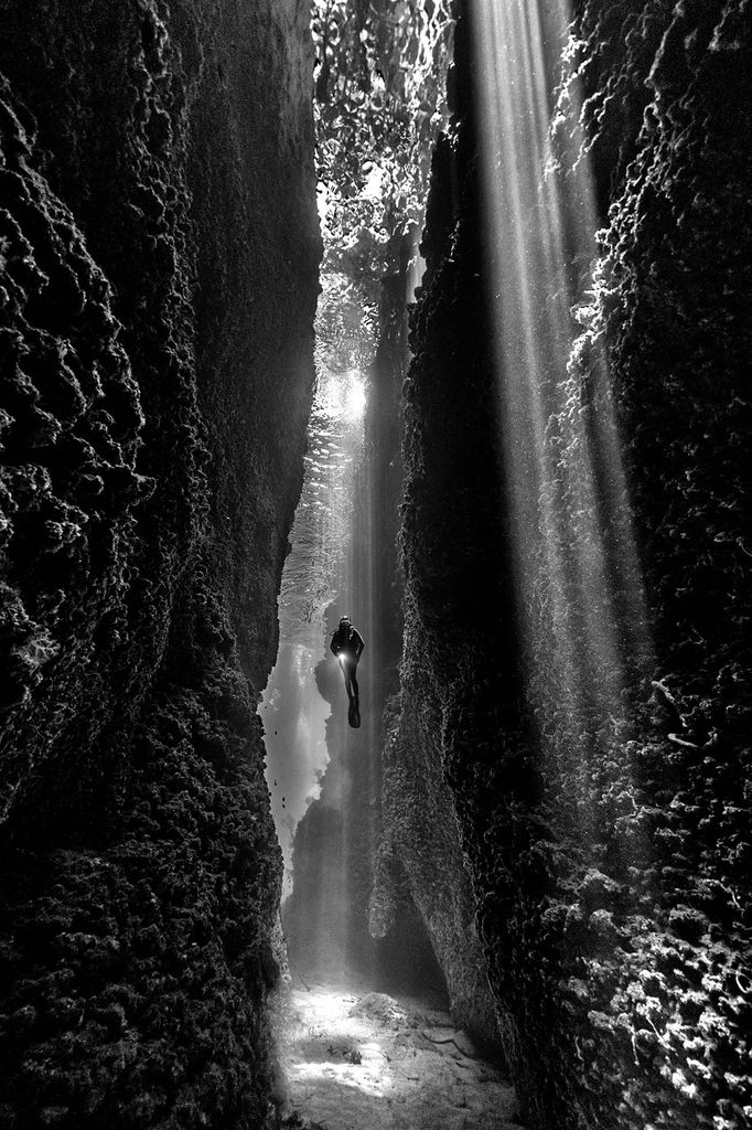 Vítězové soutěže Underwater Photographer of the Year 2021