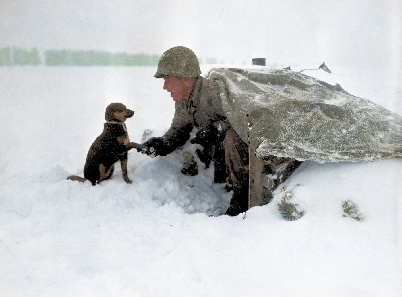 Bitva v Ardenách, druhá světová vála, WWII., výročí, historie, Ardeny, ofenzíva v Ardenách, Zahraničí
